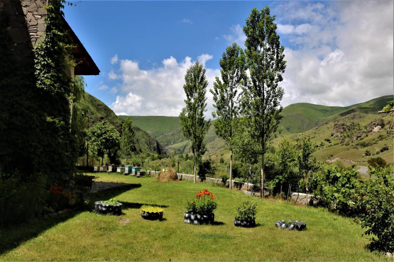 Taoskari Hotel Vardzia  Kültér fotó